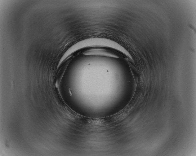 X0000091470282200708231345