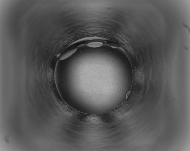 X0000091470283200708231345