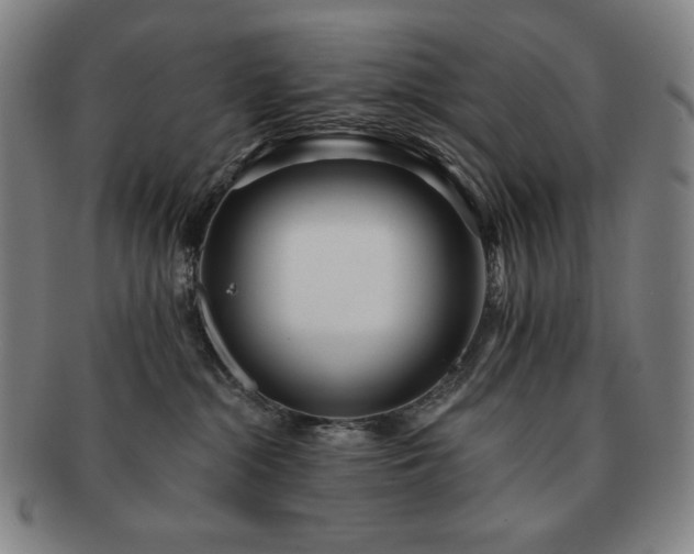 X0000091470284200708231345