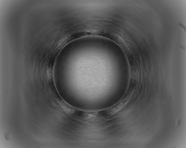 X0000091470285200708231345