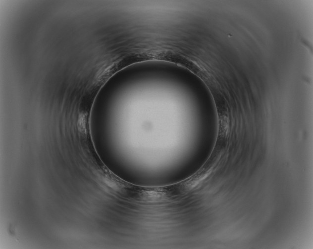 X0000091470286200708231345