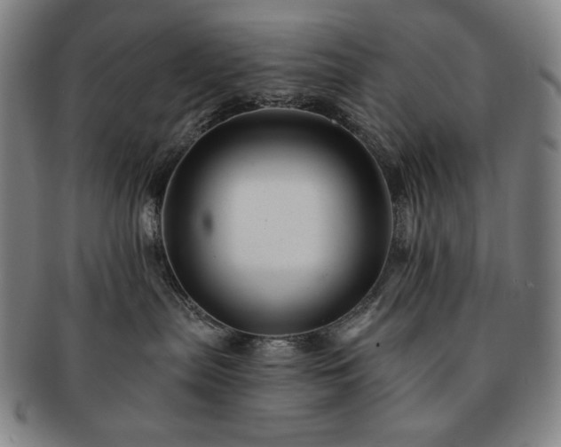 X0000091470287200708231345