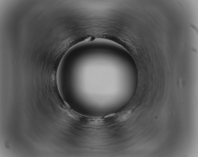 X0000091470288200708231345