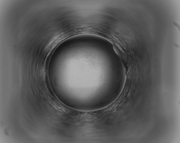 X0000091470290200708231344