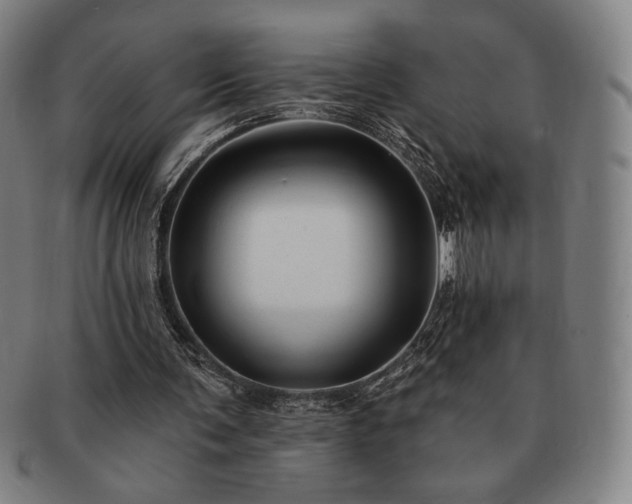 X0000091470291200708231344