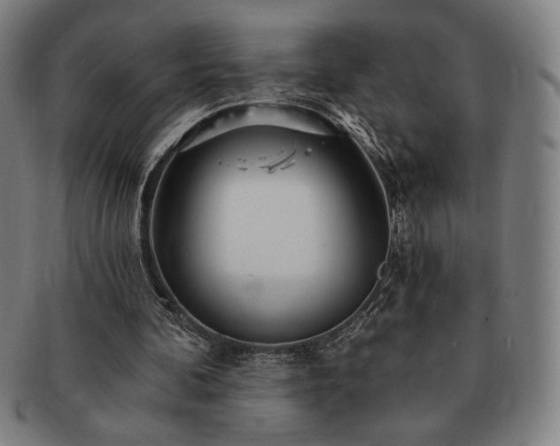 X0000091470292200708231344