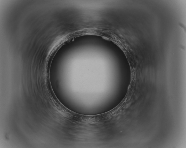 X0000091470293200708231344