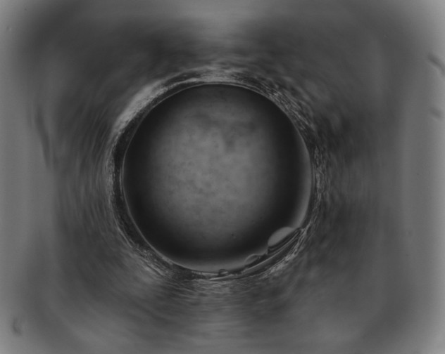 X0000091470295200708231344