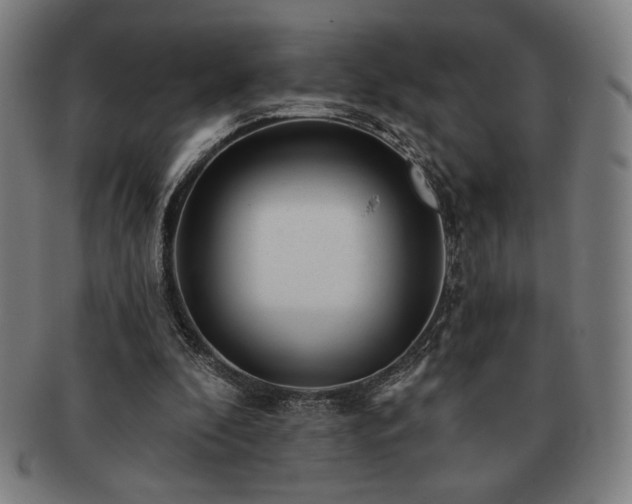 X0000091470296200708231344