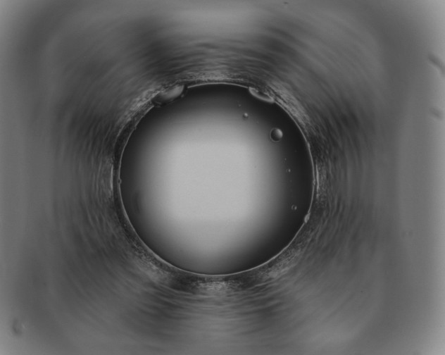 X0000091470301200708231344