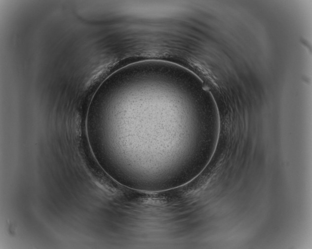 X0000091470303200708231344