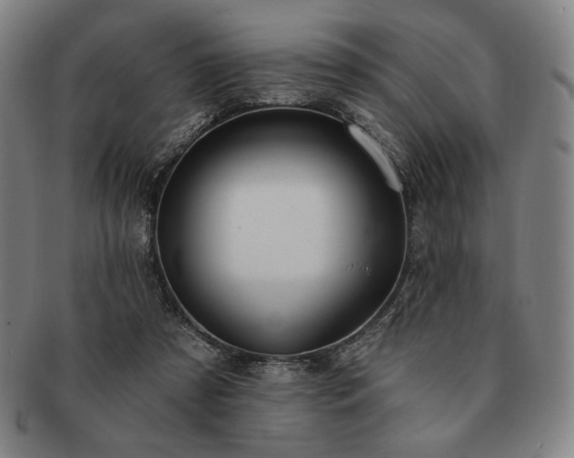 X0000091470305200708231344