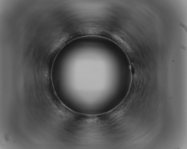 X0000091470306200708231344