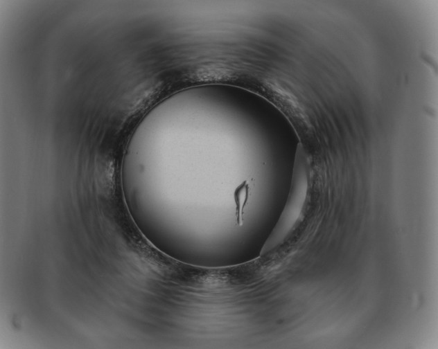 X0000091470308200708231344