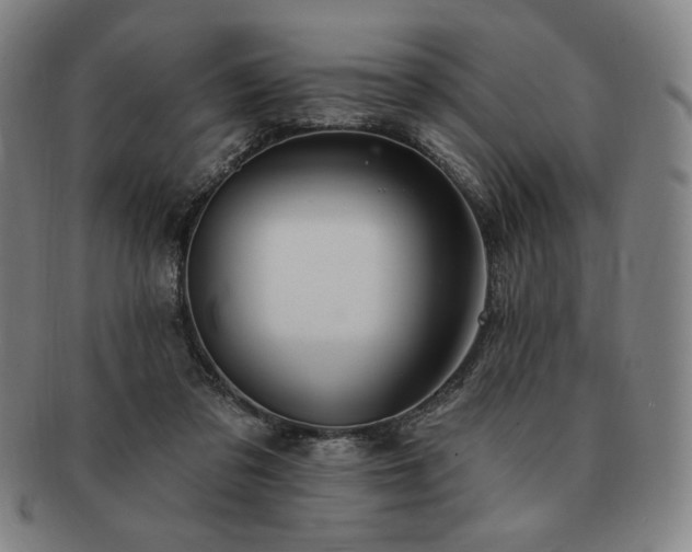 X0000091470309200708231344