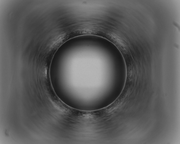 X0000091470310200708231344