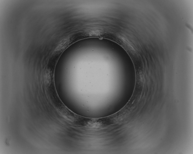 X0000091470311200708231344