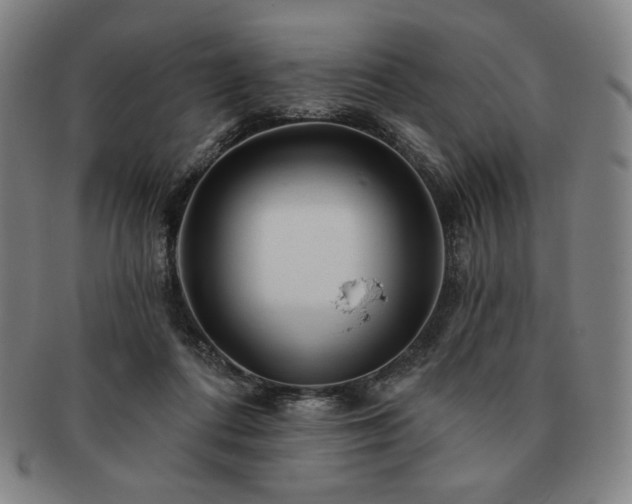 X0000091470312200708231344