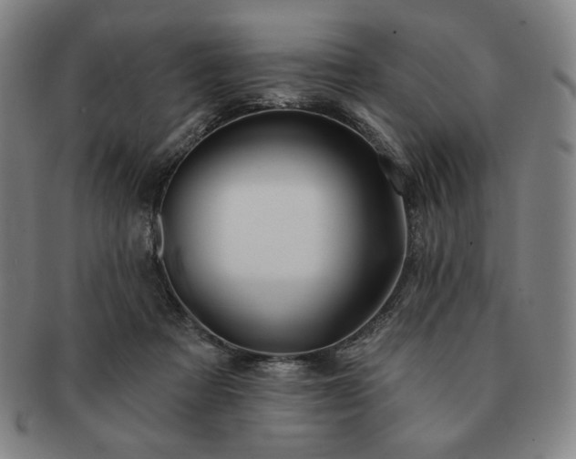 X0000091470313200708231344