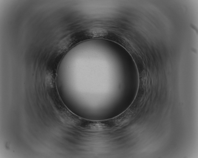 X0000091470316200708231344