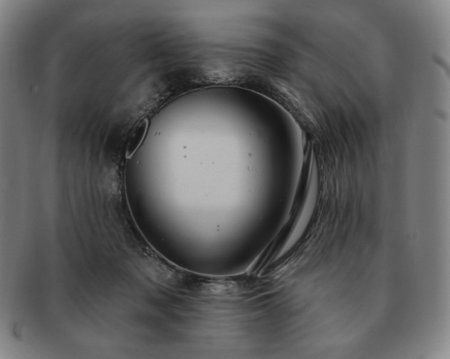 X0000091470317200708231344