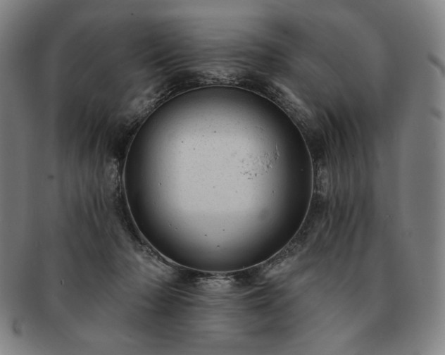 X0000091470318200708231344