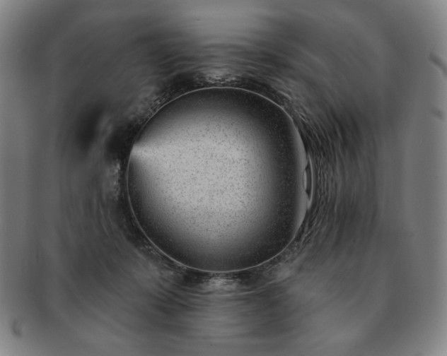 X0000091470319200708231344