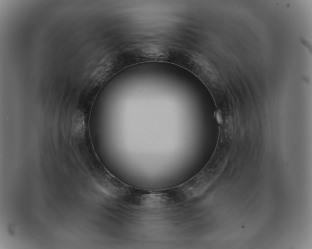 X0000091470320200708231344