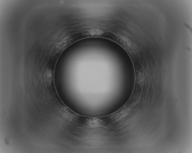 X0000091470321200708231344