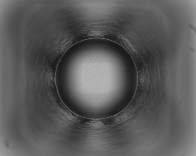 X0000091470322200708231344