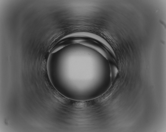 X0000091470325200708231344