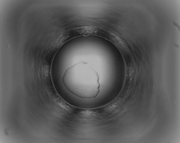 X0000091470326200708231344