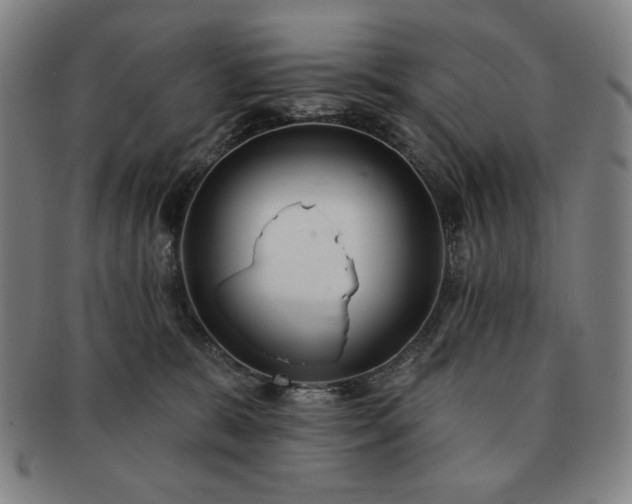 X0000091470327200708231344