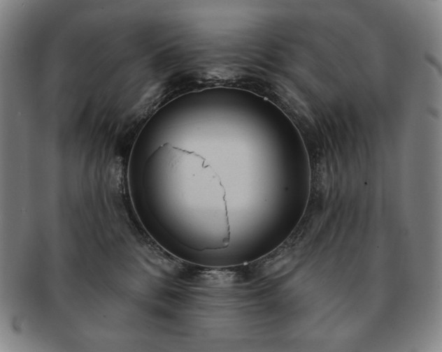 X0000091470328200708231344