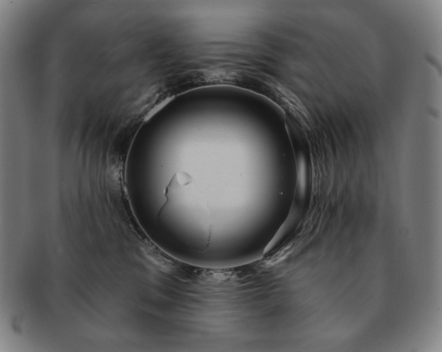 X0000091470329200708231344