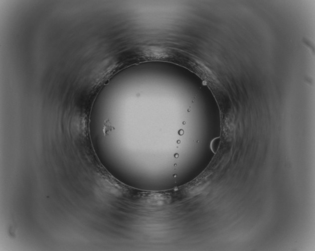 X0000091470330200708231344