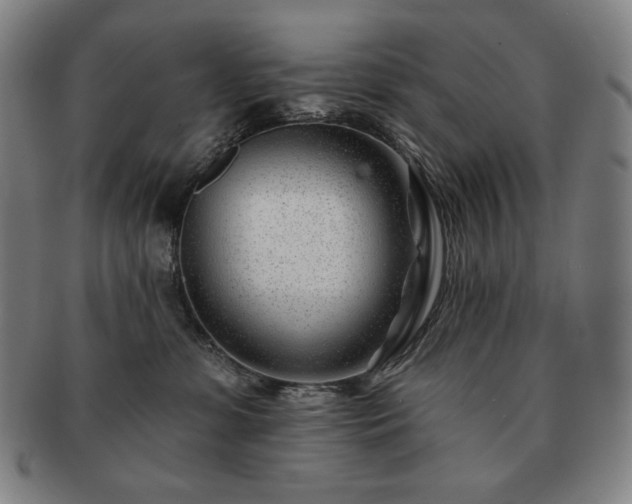 X0000091470331200708231344