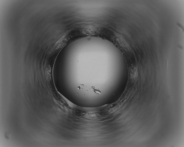 X0000091470332200708231344