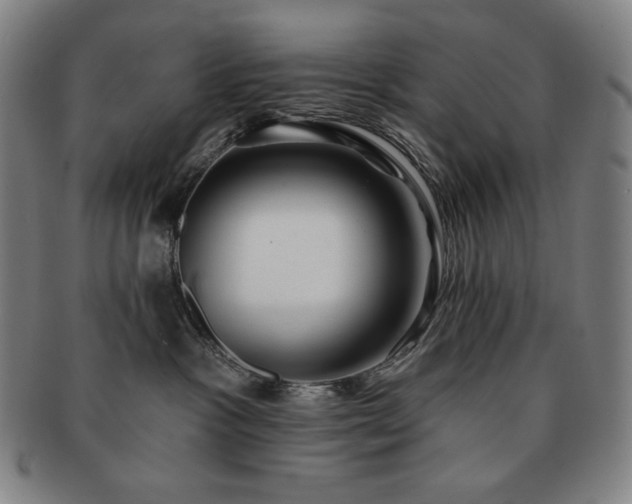 X0000091470333200708231344