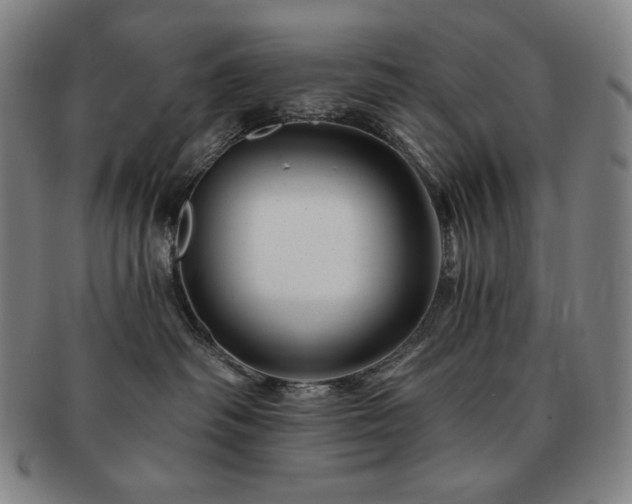 X0000091470334200708231344