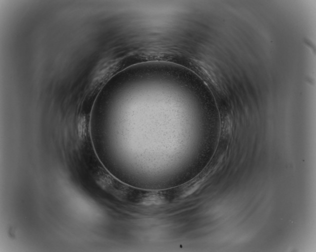 X0000091470335200708231344