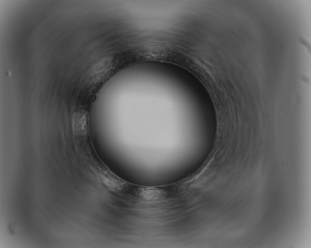 X0000091470336200708231344