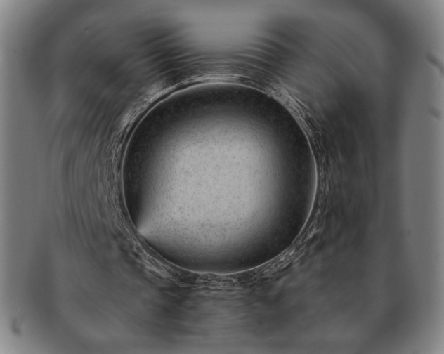 X0000091470337200708231343