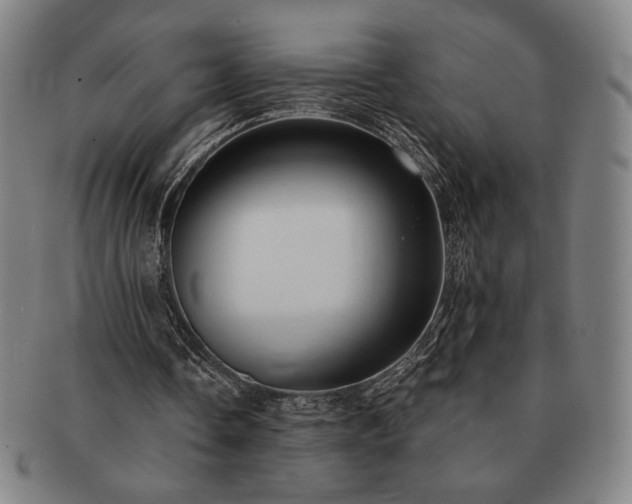 X0000091470338200708231343