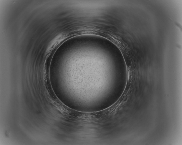 X0000091470339200708231343