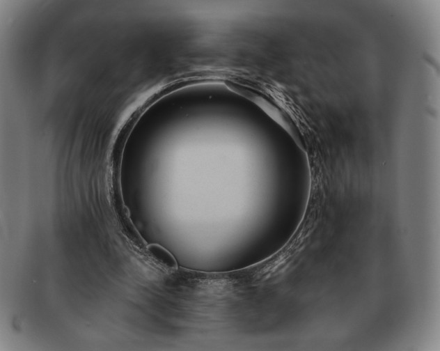 X0000091470342200708231343