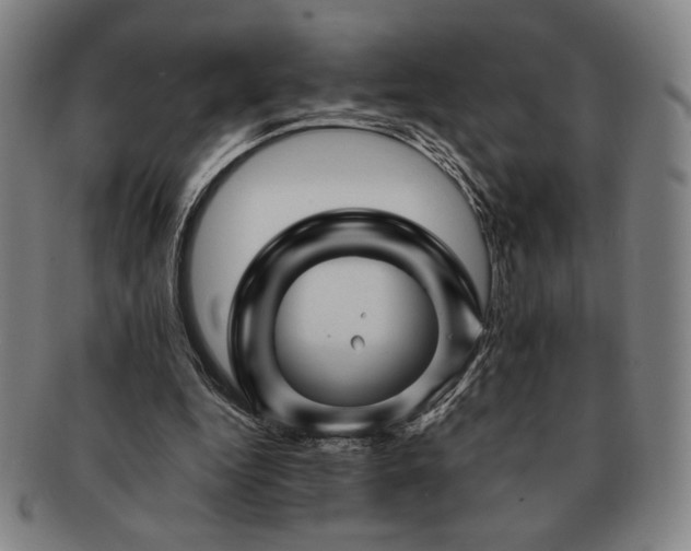 X0000091470344200708231343