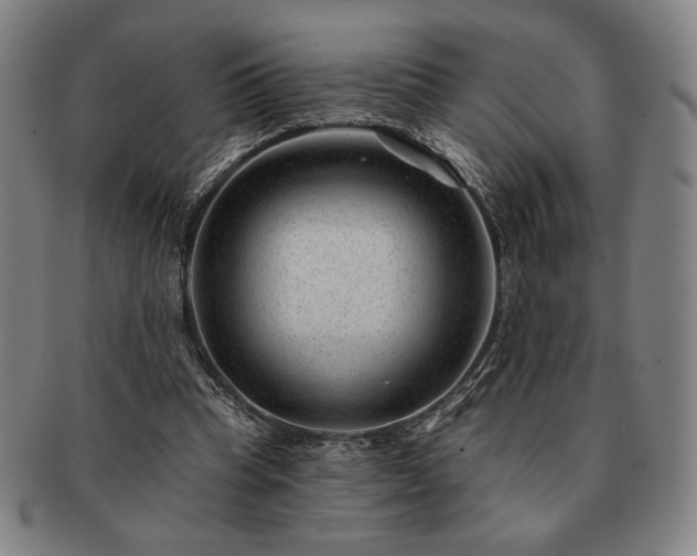 X0000091470345200708231343