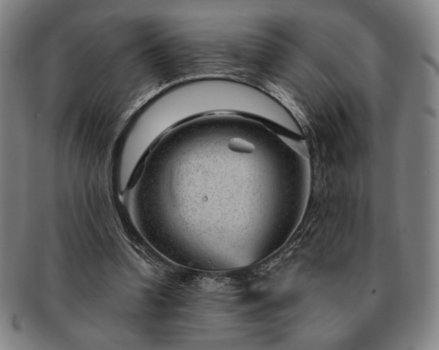 X0000091470346200708231343