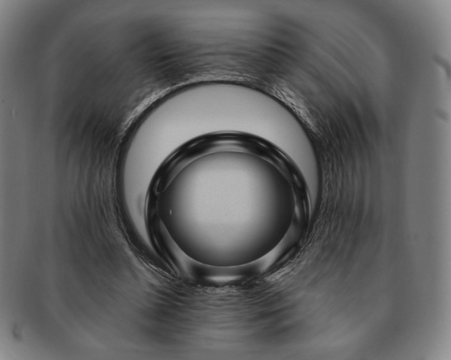 X0000091470348200708231343